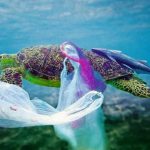Belanja di Supermarket Korsel, tak Boleh Pakai Kantong Plastik Lagi