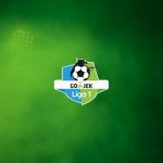 BOPI Imbau Kompetisi Sepak Bola Indonesia Dihentikan Sementara