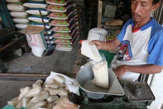 Gula Impor Banjiri Pasaran, Petani Tebu Malang Sekarat