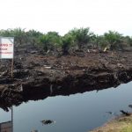 Jelang Asian Games, Produksi Asap di OKI Turun Drastis