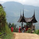 Melipur Penat di Kampung "Seribu Bunga" Lekuk Bukit Kebun Tebu