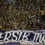 Pernyataan Resmi Viking Persib Club Soal Meninggalnya Haringga Sirla