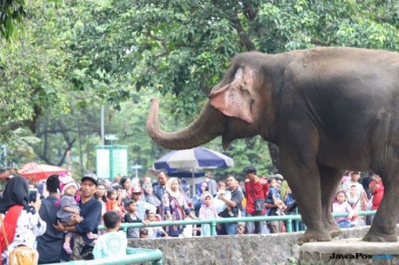 Berhadiah Rp 1 Miliar, Anies Gelar Sayembara Untuk Desain TMR