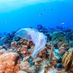 Eropa Putuskan Pembatasan Sampah Plastik