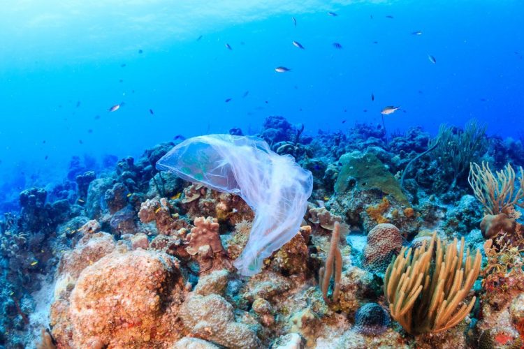 Eropa Putuskan Pembatasan Sampah Plastik