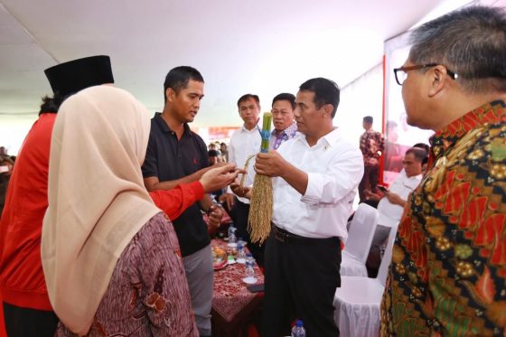 Kepincut Mangga Gedong Gincu, Bantuan Petani Naik 100 Persen