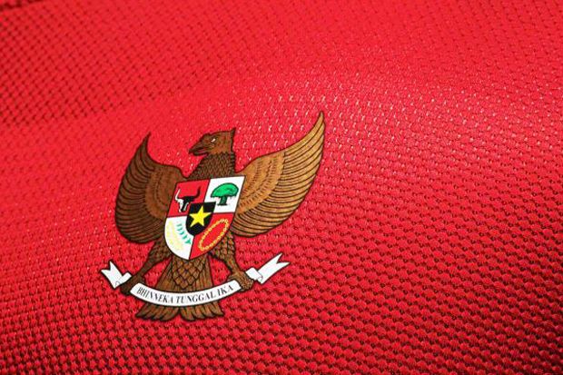 Eks Penggawa Pohang Steelers Bernafsu Bela Timnas Indonesia