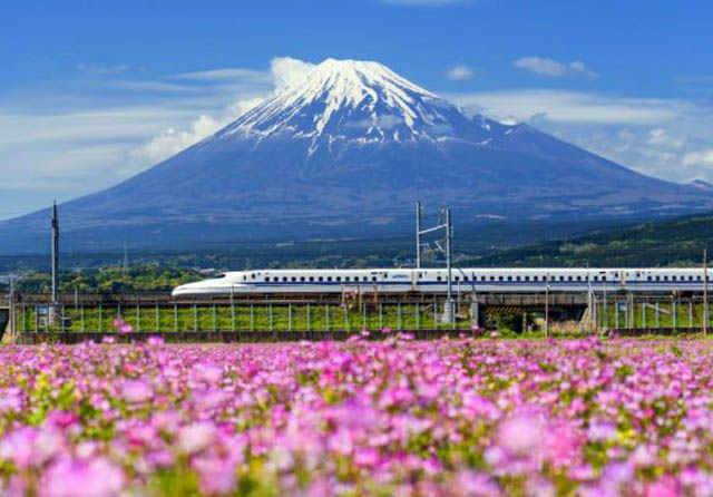 Merancang Liburan! Jepang Pasti Jadi Pilihan Terbaik untuk Berwisata