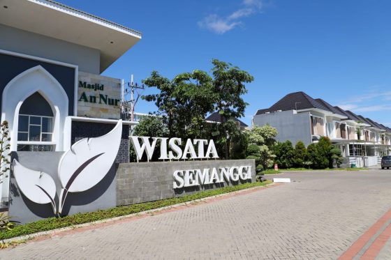 Dari Rumah, Nikmati Migrasi Burung Australia