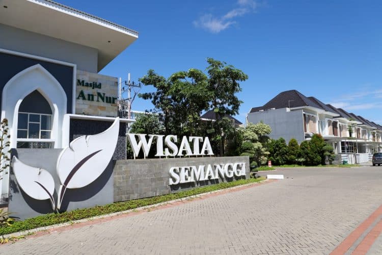 Dari Rumah, Nikmati Migrasi Burung Australia