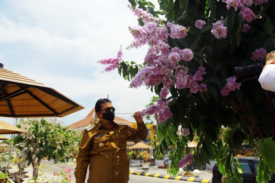 Kawasan Wisata Tabebuya dan Bungur Berkemaran, Kota Madiun Rasa Osaka