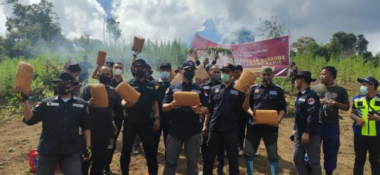 Polisi Gagalkan Rencana Pemasokan 280 Kg Ganja ke Lapas di Sumbar