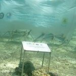 PLN Kembangkan 32 Kawasan Konservasi Flora-Fauna