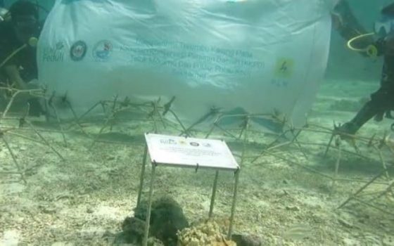 PLN Kembangkan 32 Kawasan Konservasi Flora-Fauna