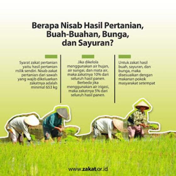 10 Jenis Zakat Mal yang Wajib Dilakukan di Luar Bulan Ramadan