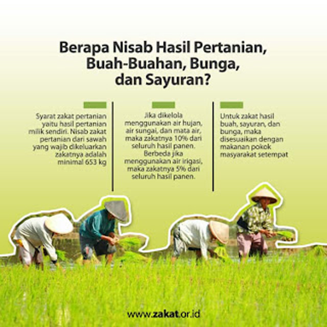 10 Jenis Zakat Mal yang Wajib Dilakukan di Luar Bulan Ramadan
