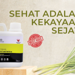 Sehat Adalah Kekayaan Sejati